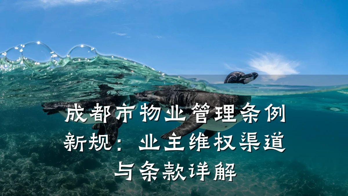 成都市物业管理条例新规:业主维权渠道与条款详解