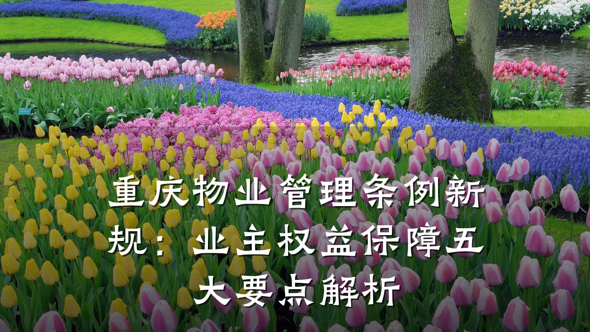 重庆物业管理条例新规：业主权益保障五大要点解析