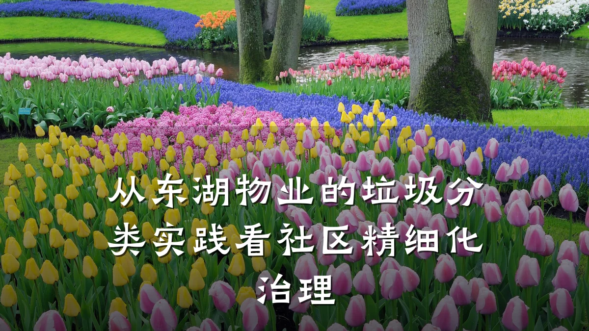 从东湖物业的垃圾分类实践看社区精细化治理