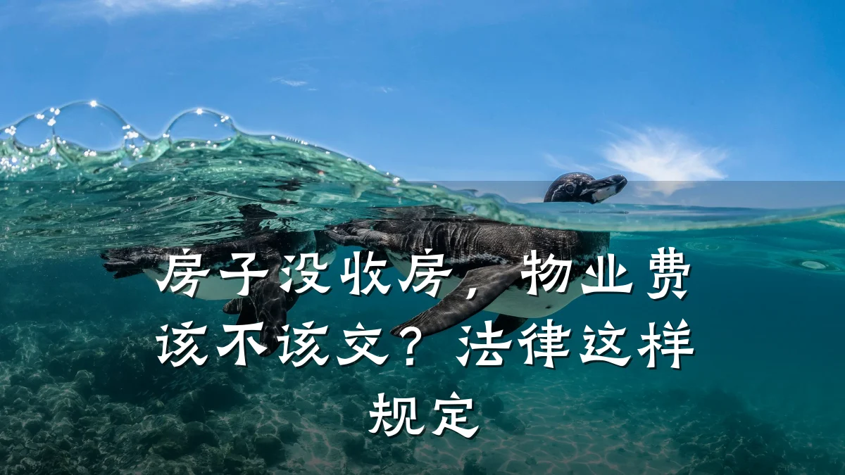 房子没收房，物业费该不该交？法律这样规定