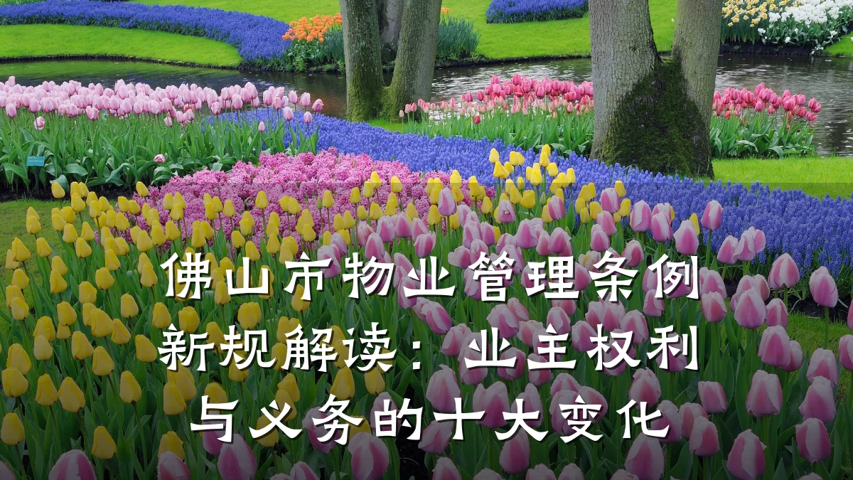 佛山市物业管理条例新规解读:业主权利与义务的十大变化