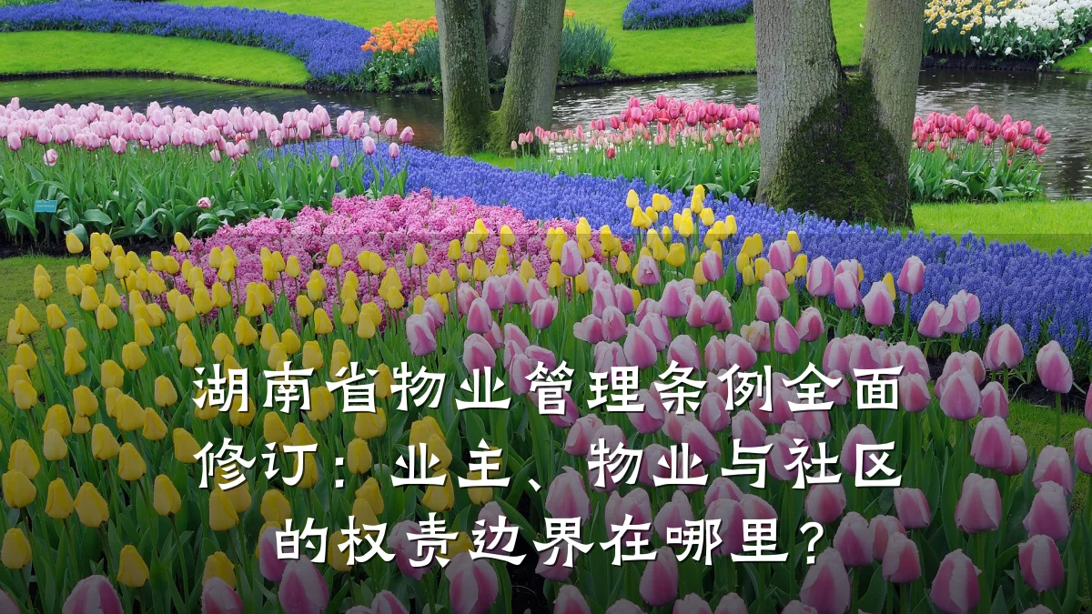 湖南省物业管理条例全面修订:业主、物业与社区的权责边界在哪里?