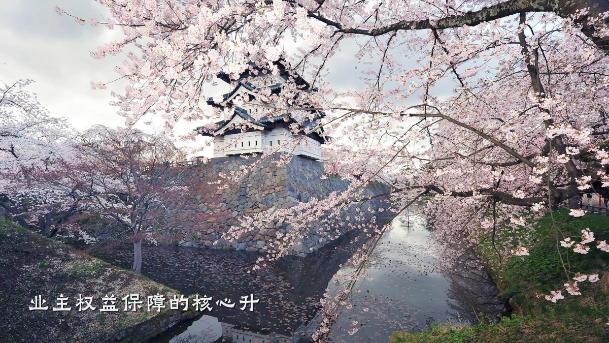 业主权益保障的核心升