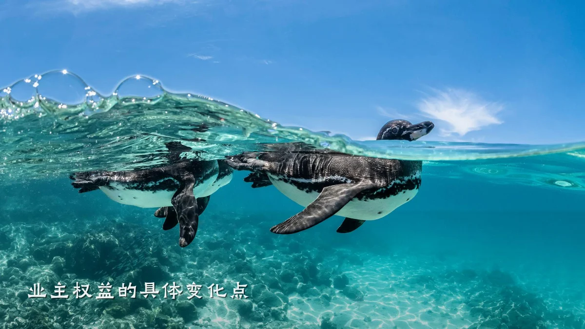 业主权益的具体变化点