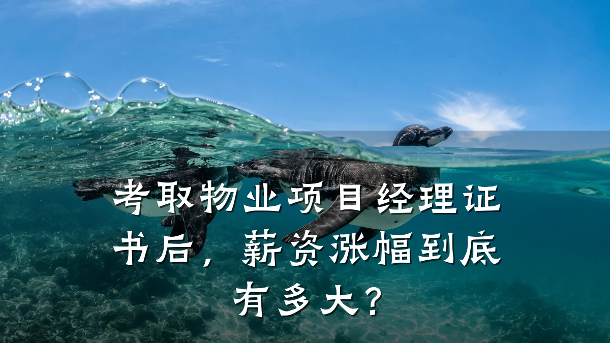 考取物业项目经理证书后,薪资涨幅到底有多大?