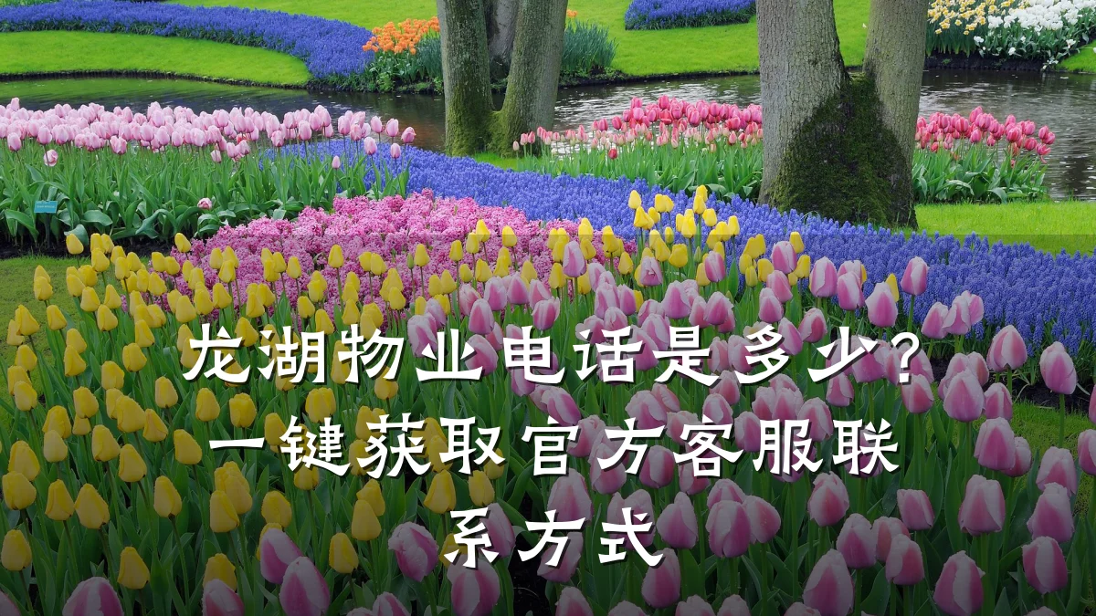 龙湖物业电话是多少?一键获取官方客服联系方式