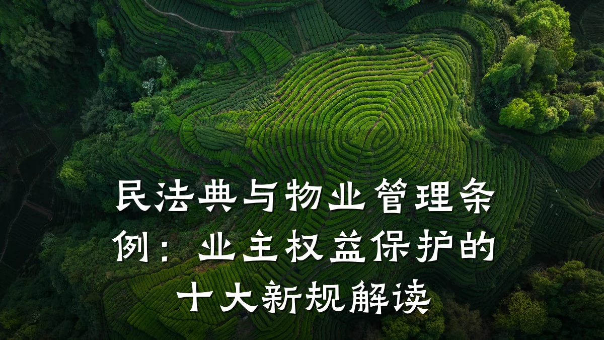 民法典与物业管理条例：业主权益保护的十大新规解读