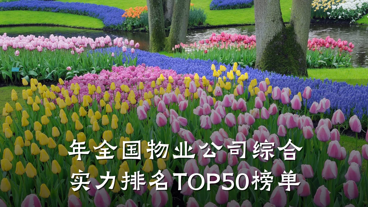 年全国物业公司综合实力排名TOP50榜单