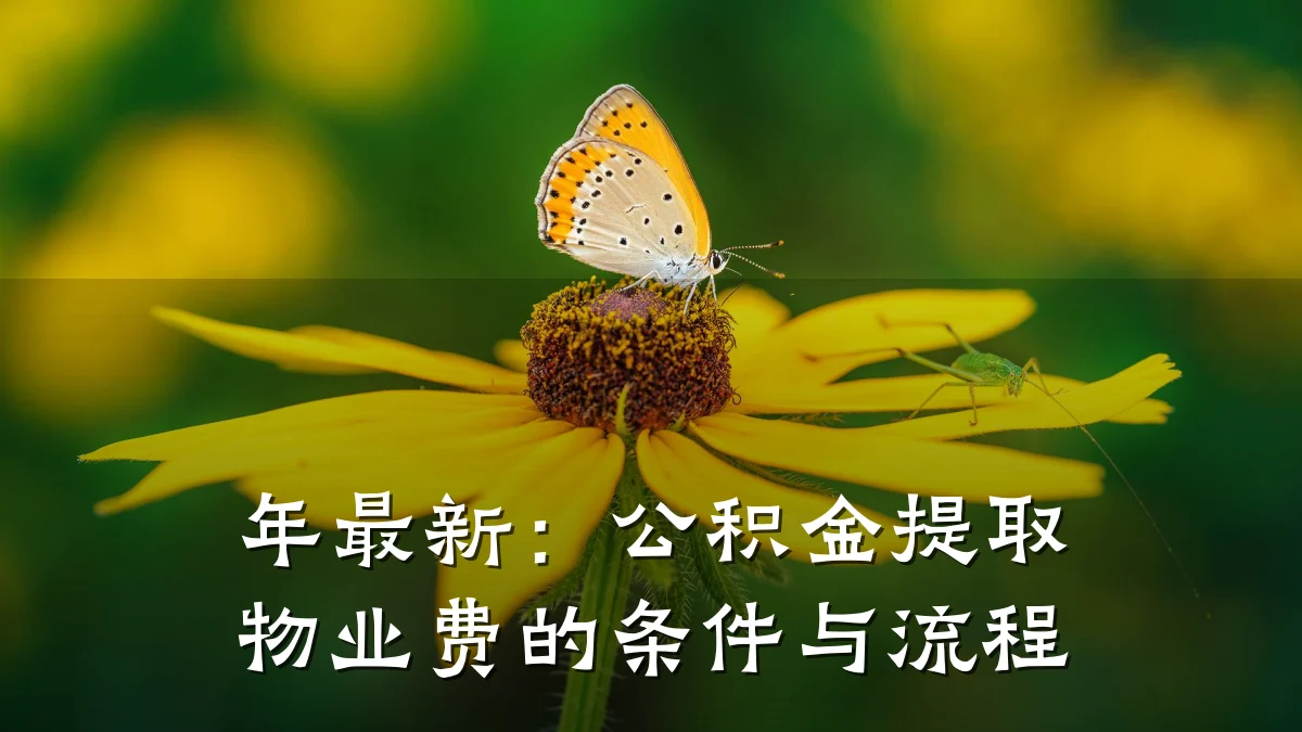 年最新:公积金提取物业费的条件与流程