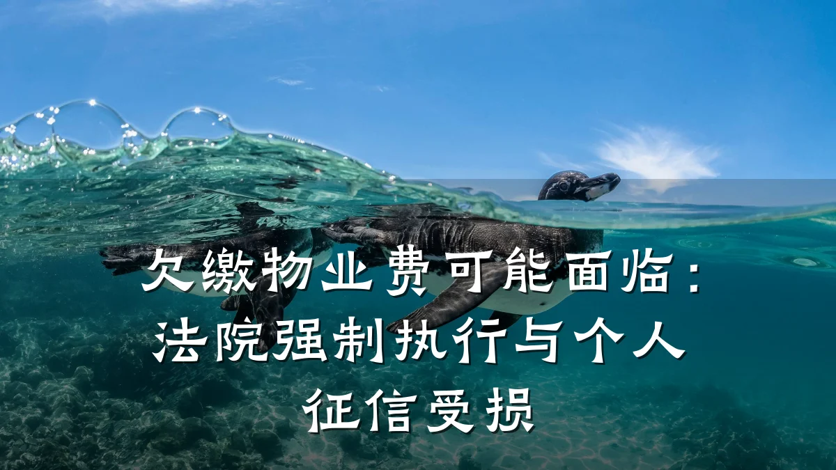 欠缴物业费可能面临:法院强制执行与个人征信受损