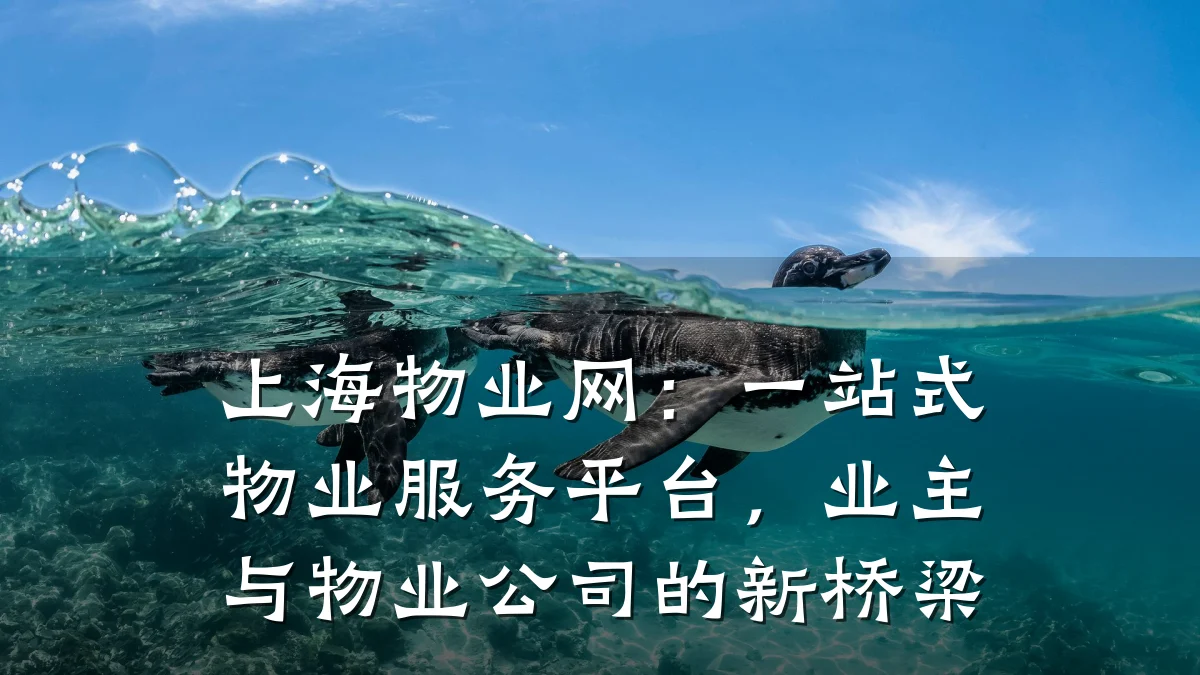 上海物业网:一站式物业服务平台,业主与物业公司的新桥梁