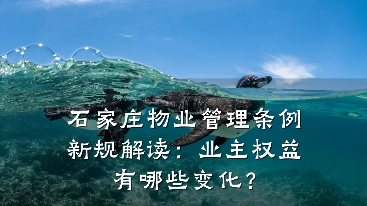 石家庄物业管理条例新规解读：业主权益有哪些变化？