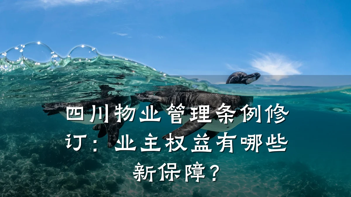 四川物业管理条例修订:业主权益有哪些新保障?