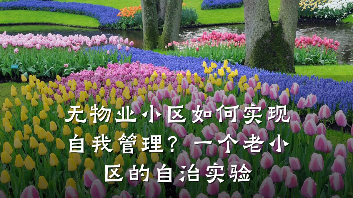 无物业小区如何实现自我管理?一个老小区的自治实验