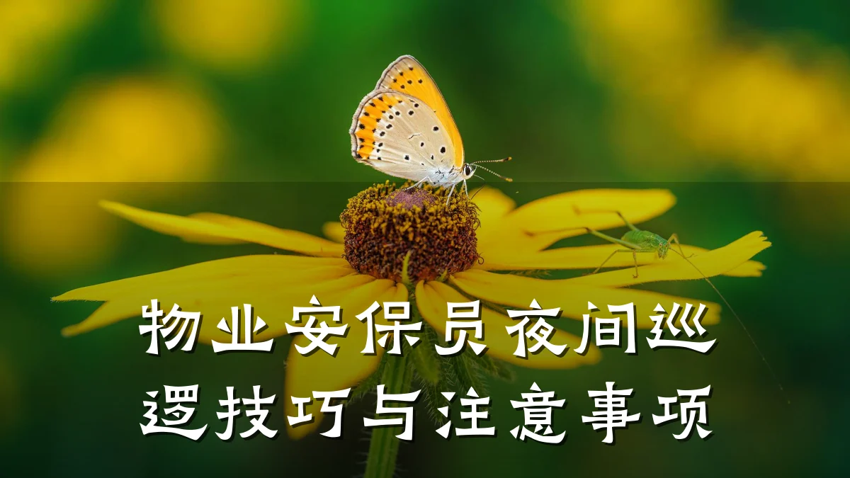 物业安保员夜间巡逻技巧与注意事项