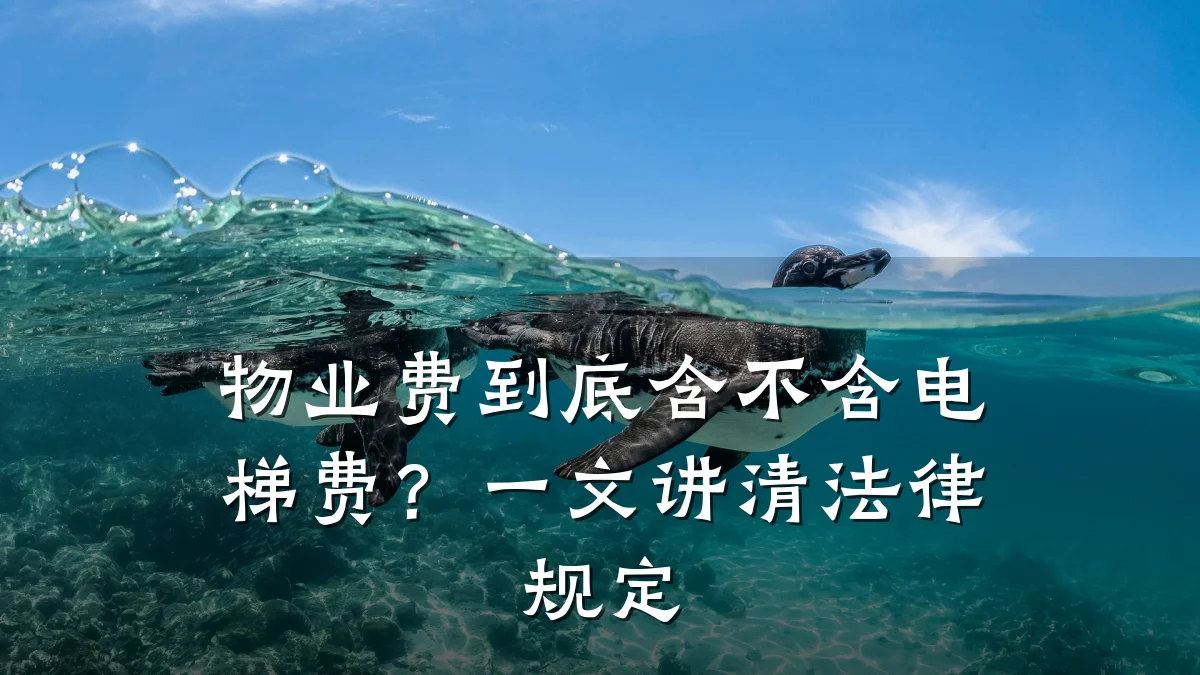 物业费到底含不含电梯费？一文讲清法律规定