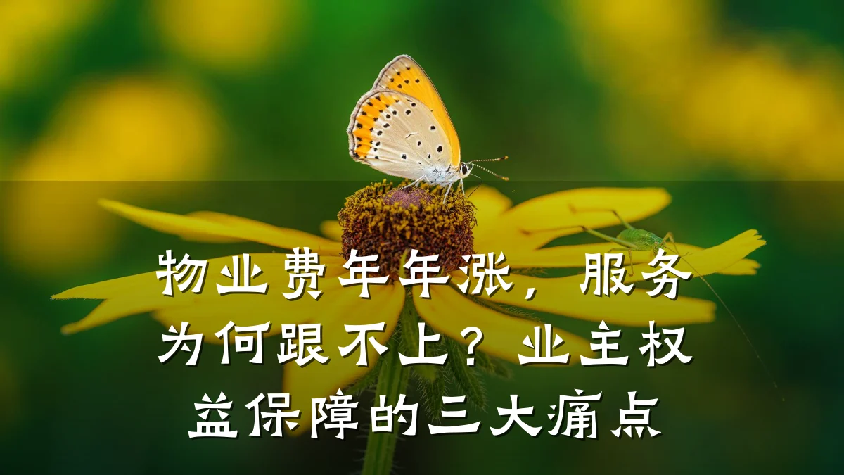 物业费年年涨,服务为何跟不上?业主权益保障的三大痛点