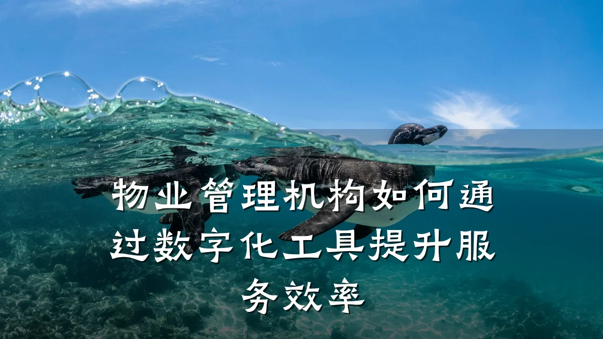 物业管理机构如何通过数字化工具提升服务效率