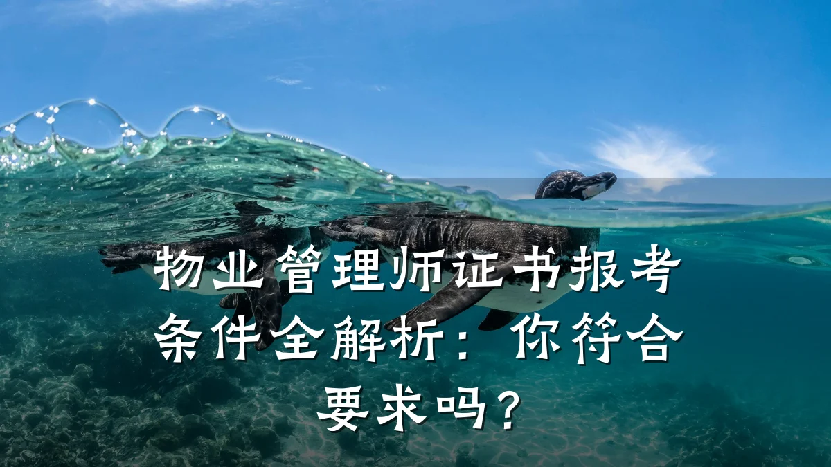 物业管理师证书报考条件全解析：你符合要求吗？