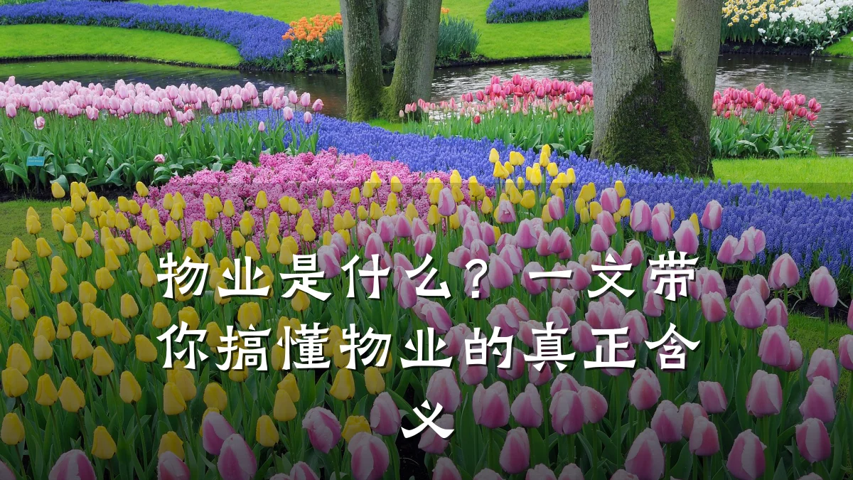 物业是什么?一文带你搞懂物业的真正含义