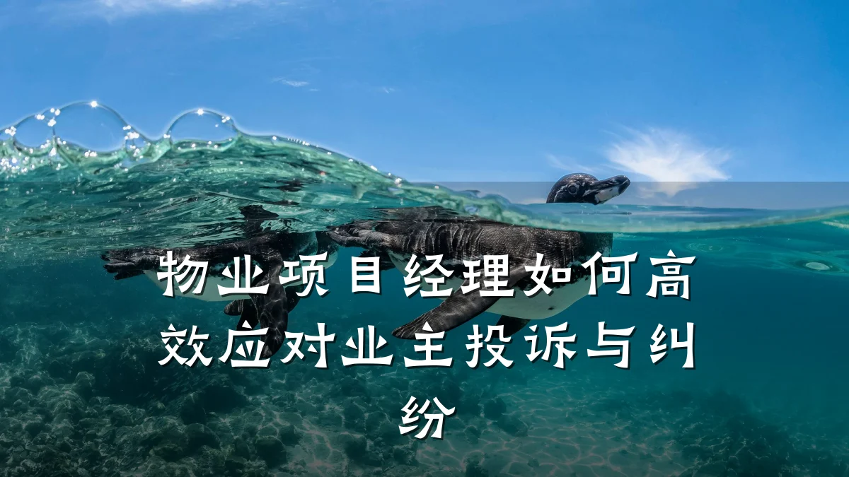 物业项目经理如何高效应对业主投诉与纠纷