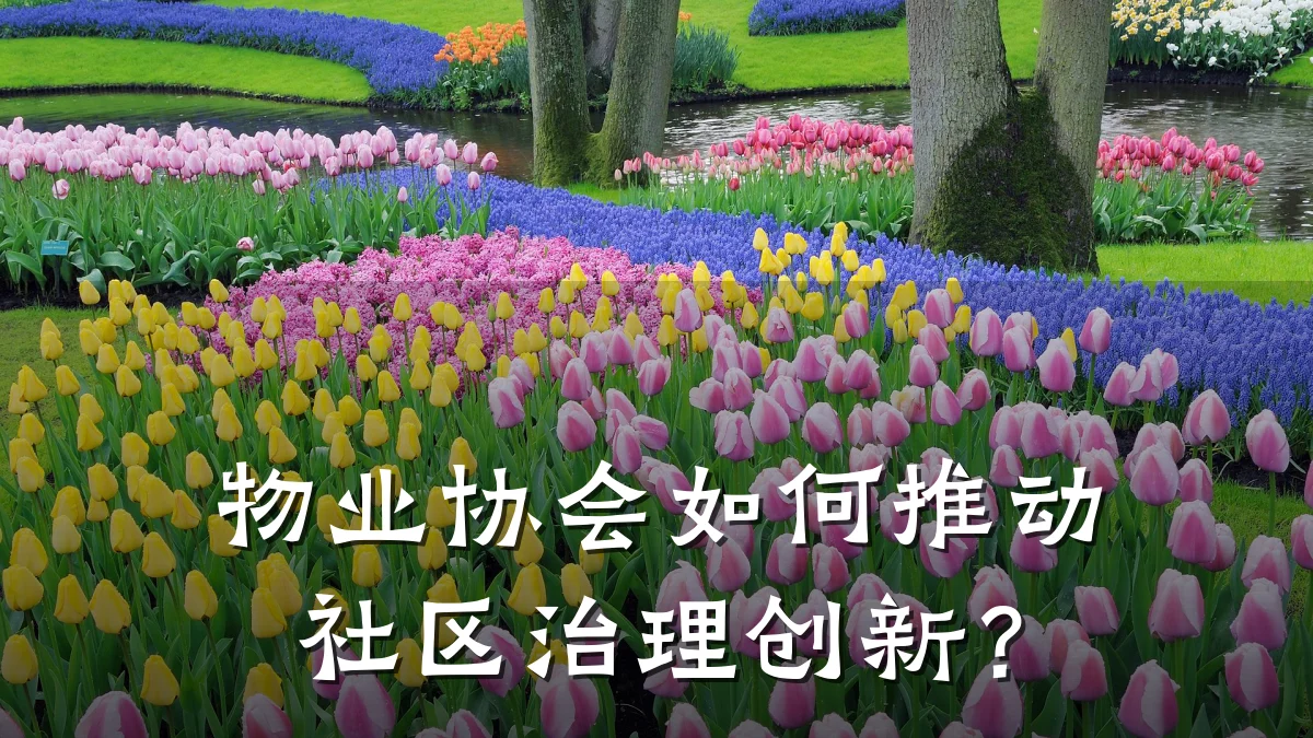 物业协会如何推动社区治理创新?