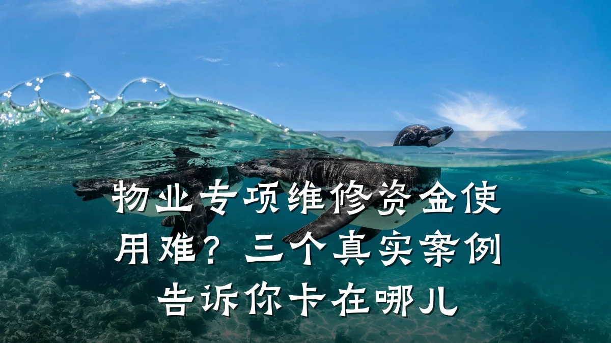 物业专项维修资金使用难?三个真实案例告诉你卡在哪儿