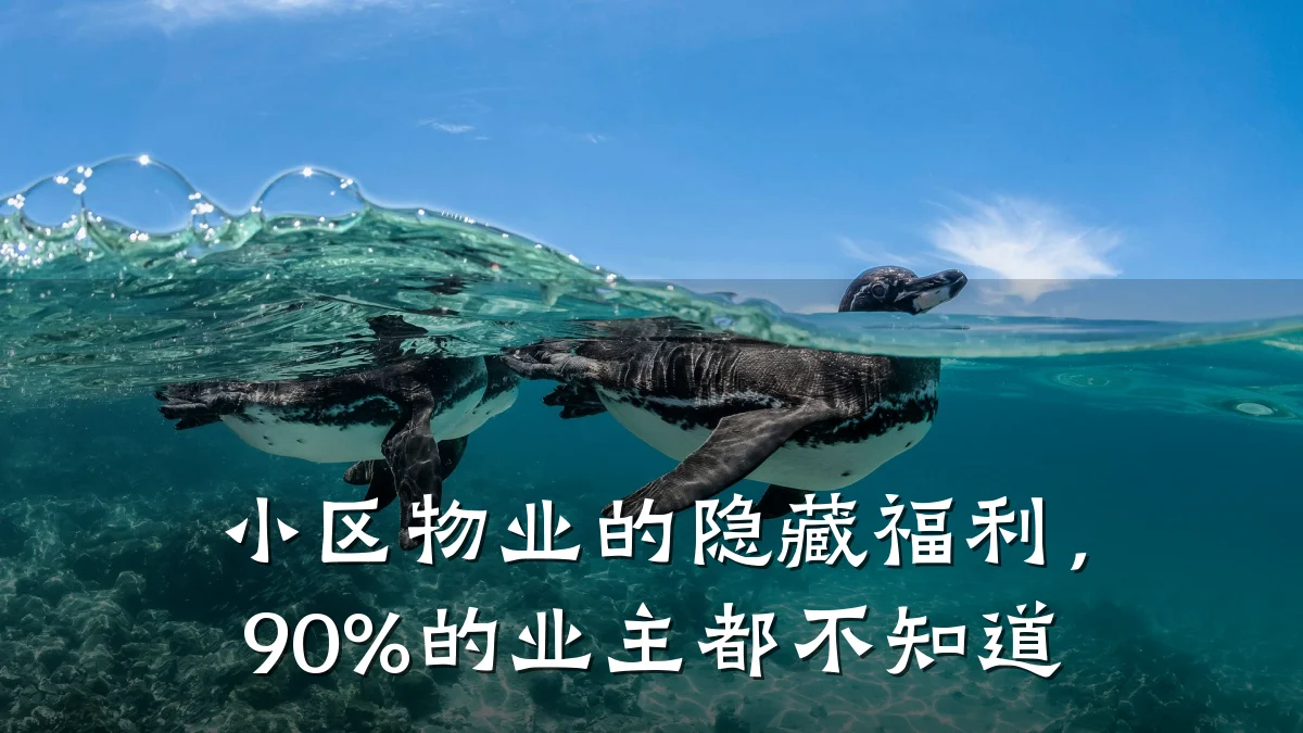 小区物业的隐藏福利,90%的业主都不知道