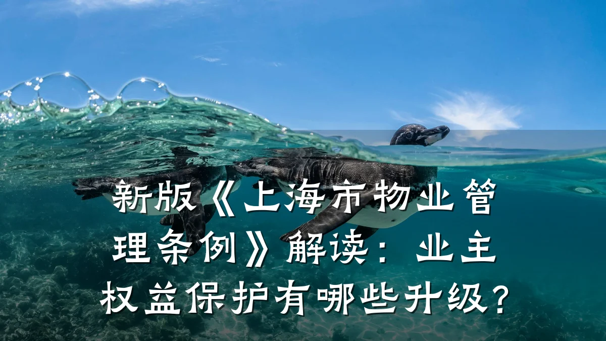 新版《上海市物业管理条例》解读:业主权益保护有哪些升级?