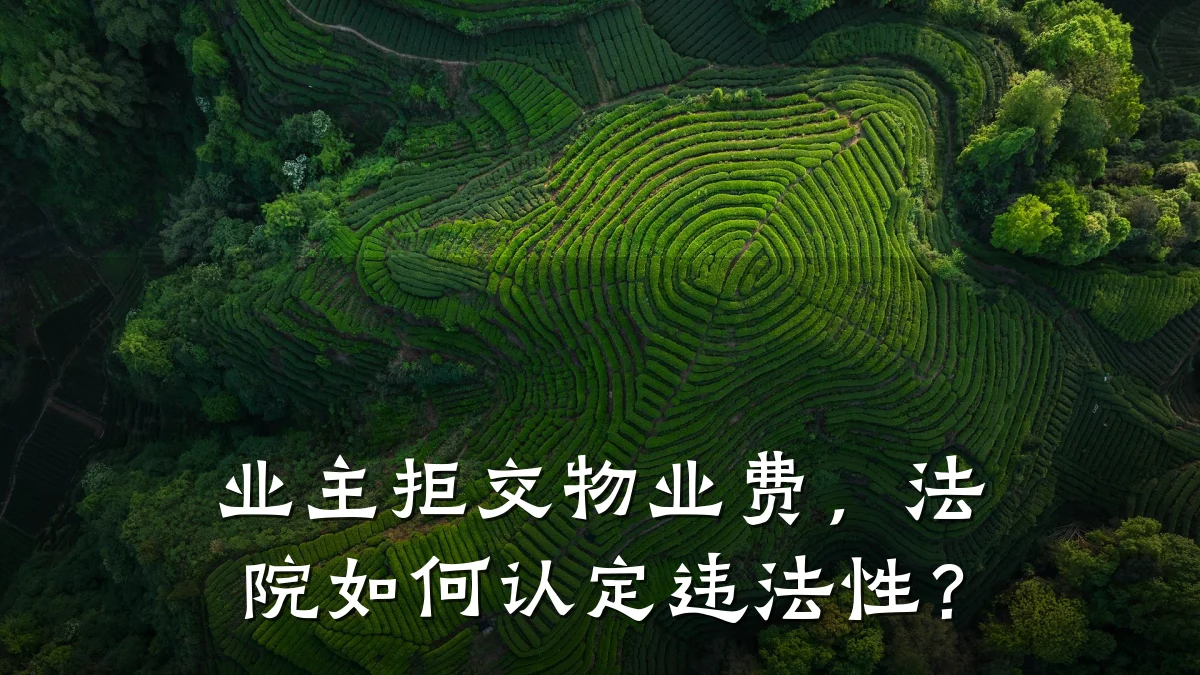 业主拒交物业费,法院如何认定违法性?