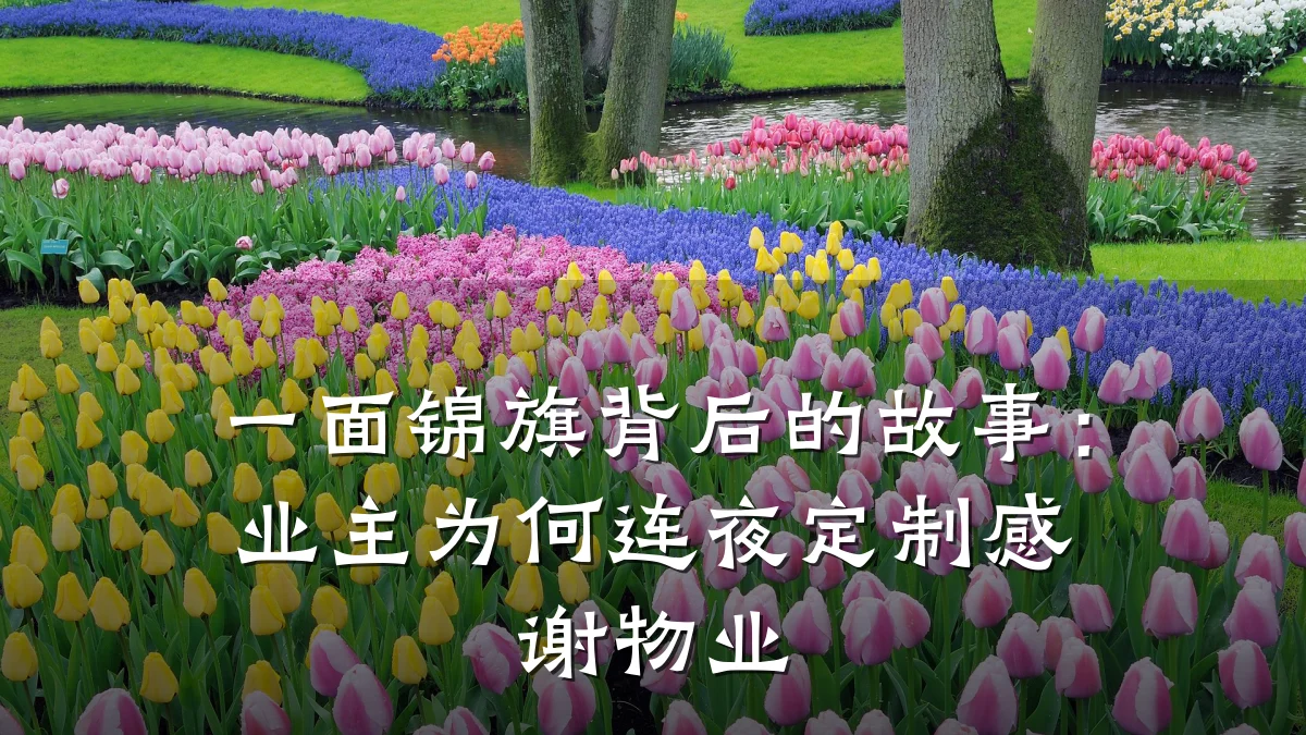 一面锦旗背后的故事:业主为何连夜定制感谢物业