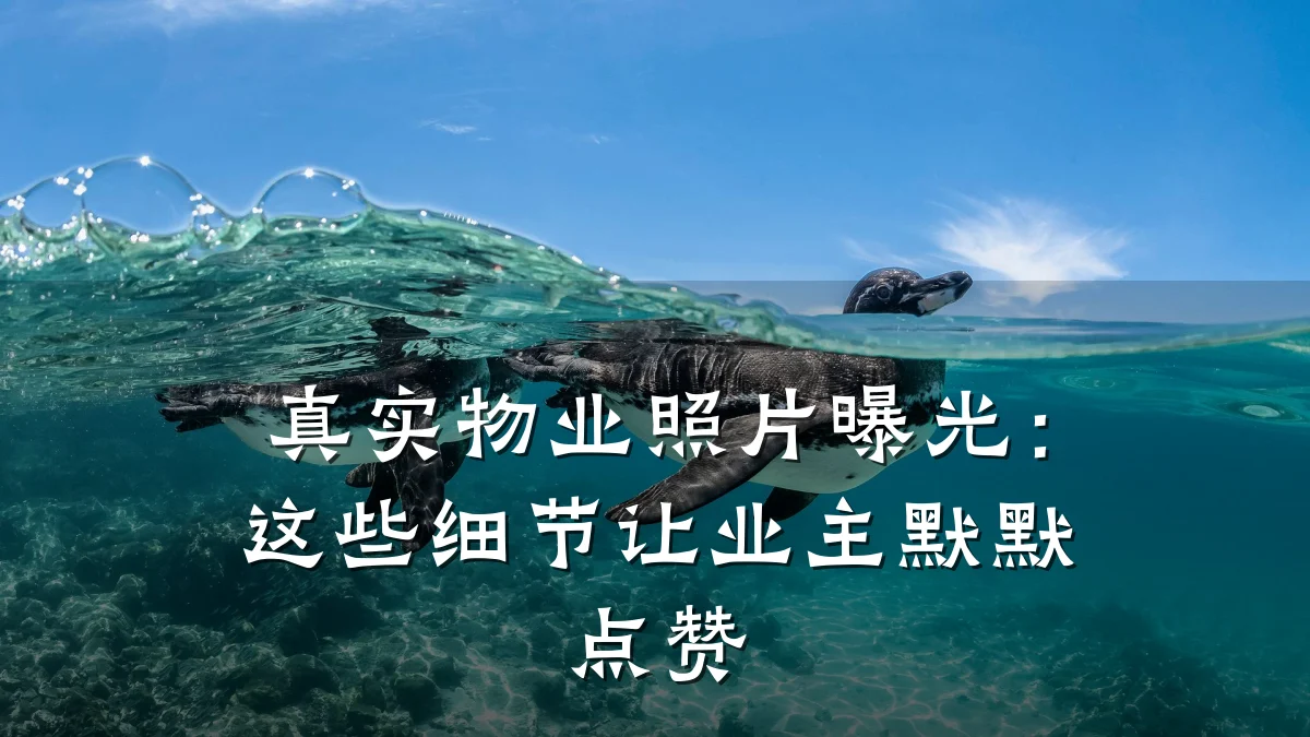 真实物业照片曝光:这些细节让业主默默点赞