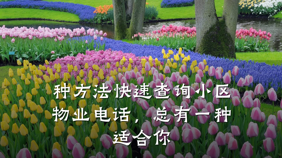 种方法快速查询小区物业电话，总有一种适合你